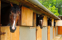 free Great Wymondley stable construction quotes